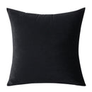 Coussin  Velvet