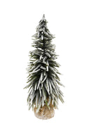 Grand sapin enneigé