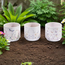 Pots ronds en terre cuite (Jardin botanique, 3 set)