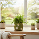 Cache-pot en céramique 5" (Marguerites)