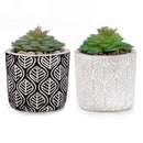 2MOD Cactus en pot à motif feuille