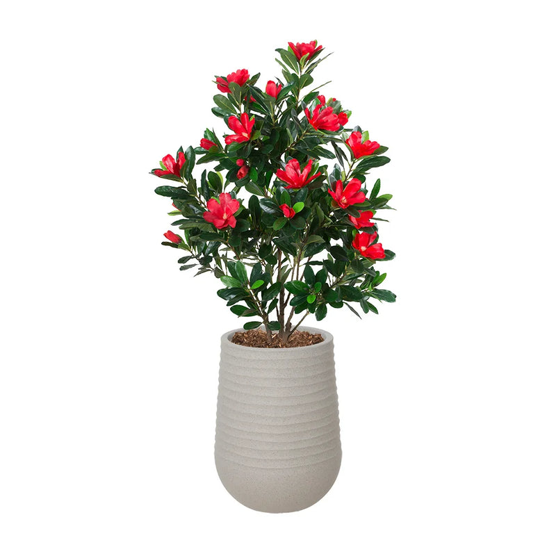 Rhododendron rouge artificiel en pot beige fini terrazzo gris, 60”