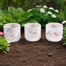 Pots ronds en terre cuite (Oiseaux qui gazouillent, 3/présentoir)