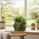 Pot en céramique (grenouille)