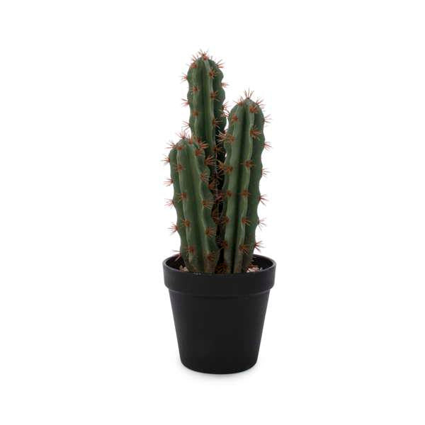 13" Plante cactus déco avec pot noir