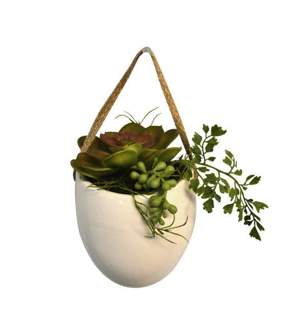 Vase blanc suspendu succulentes