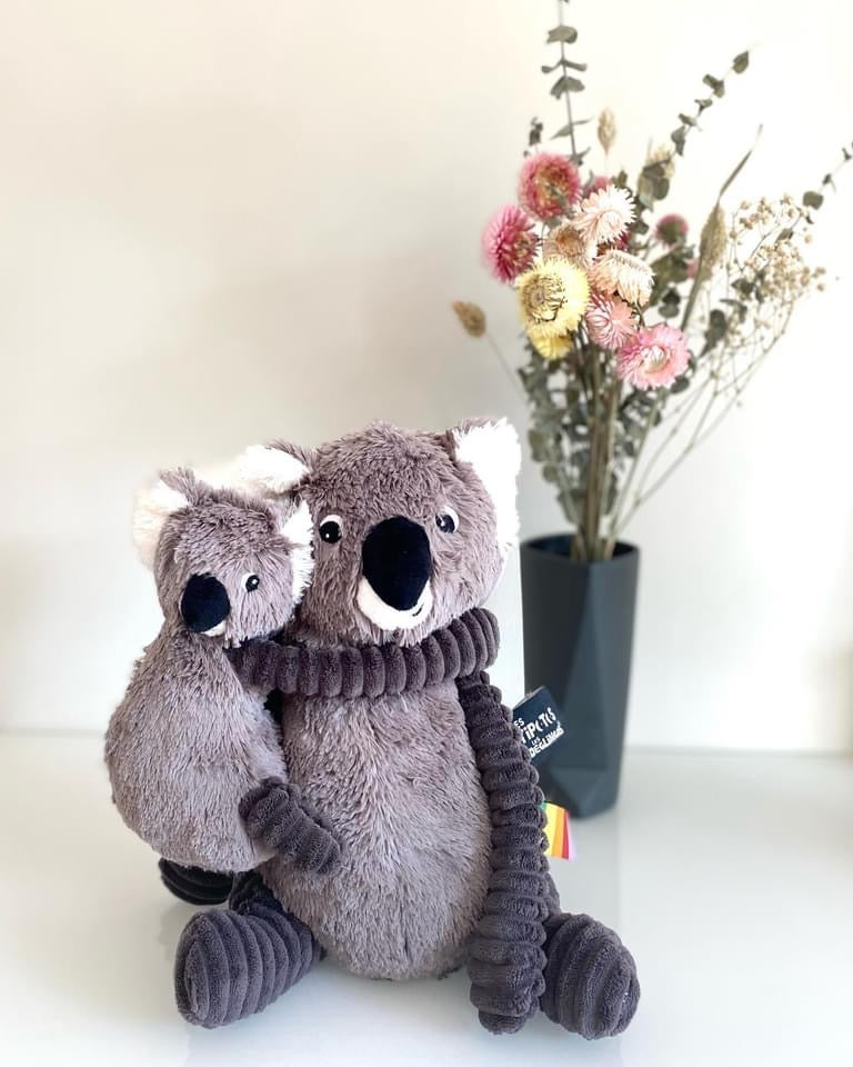 Trankilou le koala maman et bébé gris